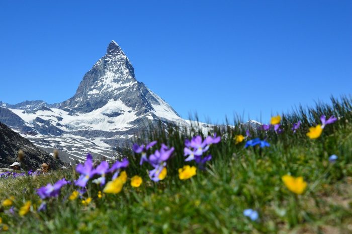 Small Group Tour for 2021: 8-Days Special Golden Round Trip to Switzerland